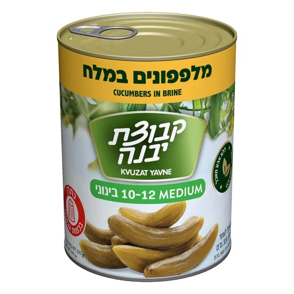 מלפפון במלח  560 גרם גודל 10-12