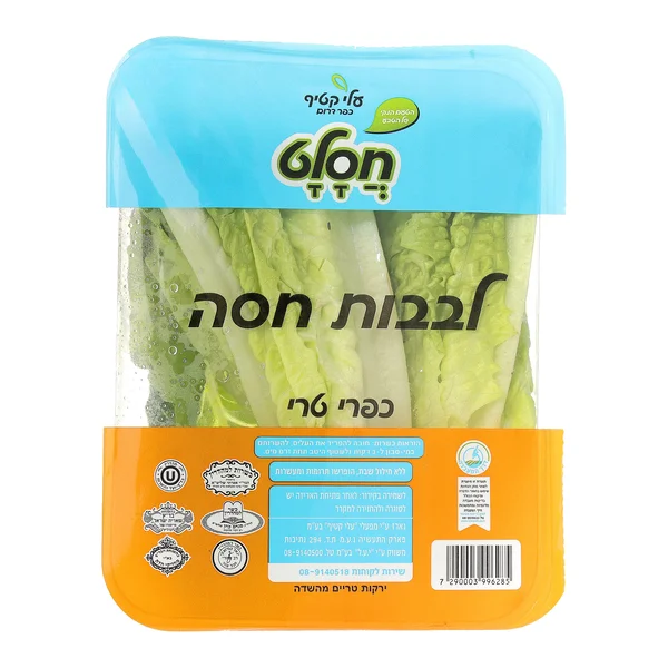 לבבות חסה קיסר