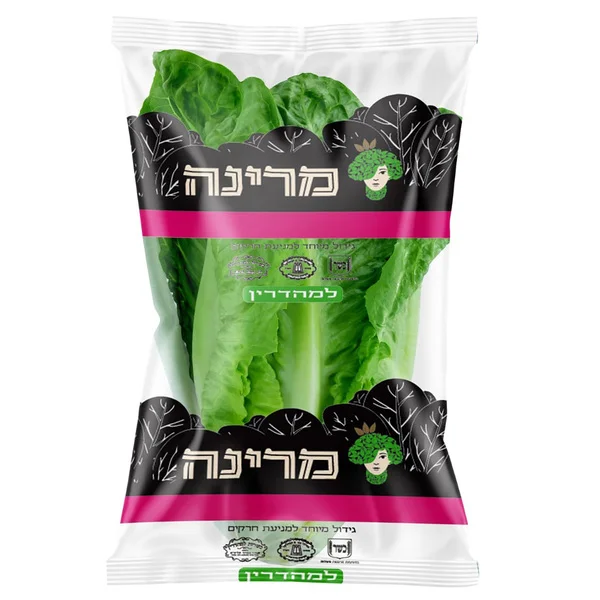 לבבות חסה